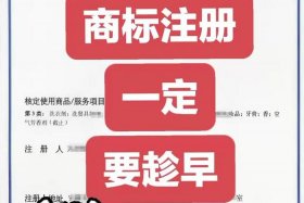 做电商平台注册商标个人还是公司（电商平台注册什么商标）
