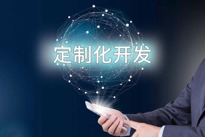 电商软件定制 电商软件定制怎么做 电商软件定制 电商软件定制怎么做