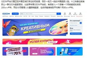 俄罗斯ozon电商平台产品排名怎么看的，俄罗斯电商平台ozon中文