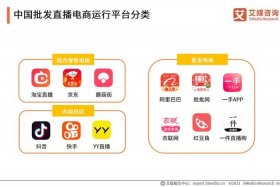 国内的主流电商平台；国内的主流电商平台有哪些