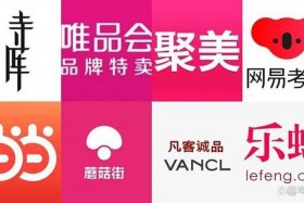 垂直类电商是什么意思；垂直类电商是什么意思啊