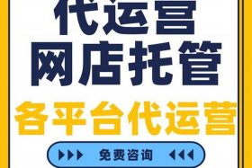 电商平台网站搭建代运营；网络电商平台代运营