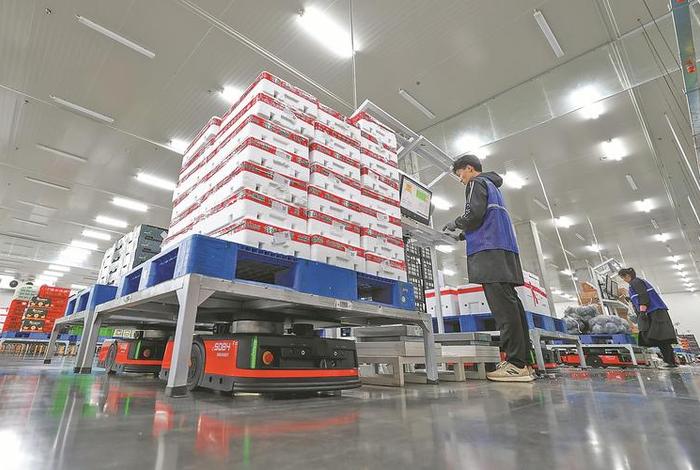 电商播种式分拣 - 电商播种式分拣如何提高工作效率