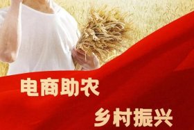 做好农村电商产业升级 做好农村电商产业升级发展