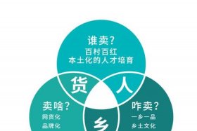 农村电商平台100个示范；5个农村电商平台