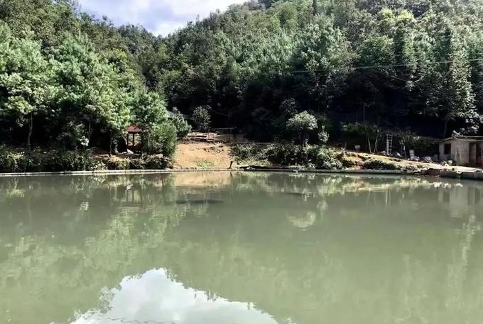 电商鱼池什么意思,电商养鱼塘是什么意思 电商鱼池什么意思,电商养鱼塘是什么意思