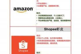 b2c电子商务平台排名；b2c电子商务平台排名前十