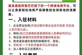 个人入驻跨境电商平台；个人入驻跨境电商平台怎么开店