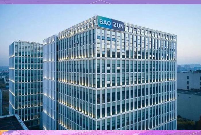 宝尊电商是上市公司吗;宝尊电商是上市公司吗还是国企 宝尊电商是上市公司吗;宝尊电商是上市公司吗还是国企