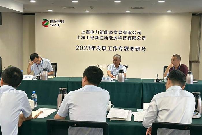 沙电上海 - 沙电上海科技有限公司