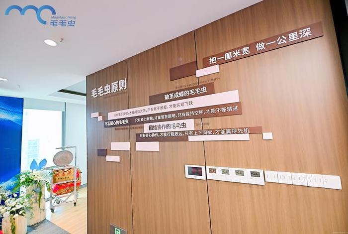 毛毛虫电商平台,毛毛虫电商平台员工薪资待遇 毛毛虫电商平台,毛毛虫电商平台员工薪资待遇