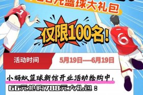 卖篮球的电商 卖篮球的电商平台