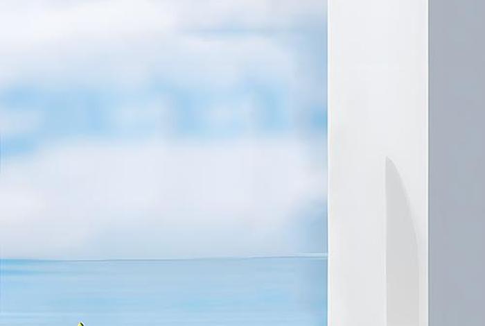 电商案例素材（电商案列）