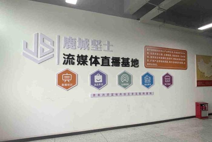 温州电商公司有哪些；温州有哪些好点的电商公司