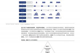 小红书电商平台的发展历程，小红书的发展历程与现状