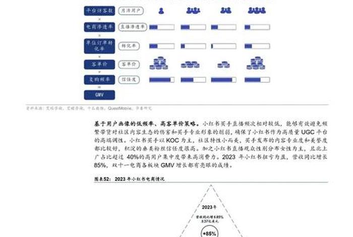 小红书电商平台的发展历程,小红书的发展历程与现状 小红书电商平台的发展历程,小红书的发展历程与现状