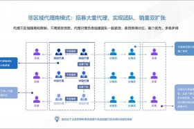 电商分销平台和电商平台合作模式哪个好（电商分销平台和电商平台合作模式哪