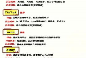b2c十大平台排名；国内b2c十大平台排名