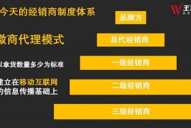 微商商业模式方案，微商商业模式方案设计