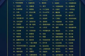 中国b2b电商平台排名；中国b2b电商平台排名前十