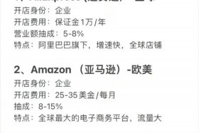 什么电商平台、amazon是什么电商平台