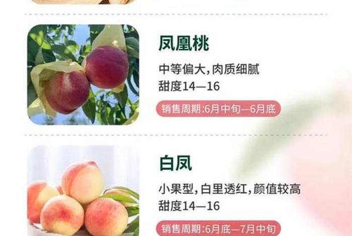 桃子电商平台怎么样 - 桃子电商平台怎么样啊 桃子电商平台怎么样 - 桃子电商平台怎么样啊