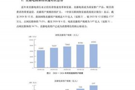 临沂电商直播发展总收入变化图分析 - 临沂电商直播基地总部