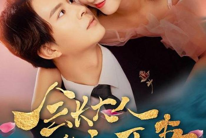 六电视剧全集免费观看完整版在线观看;666电视剧全集免费观看 六电视剧全集免费观看完整版在线观看;666电视剧全集免费观看