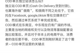 跨境电商cod是什么意思 - 跨境电商cod是什么意思啊