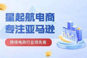 亚马逊电商平台是什么样的（亚马逊电商平台是什么样的模式）