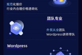 电商网站开发语言，电子商务网站开发的主流语言