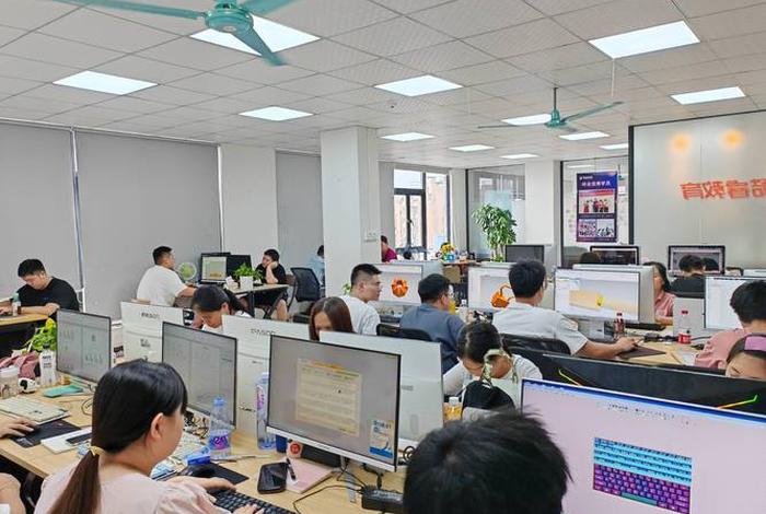 电商运营培训生是干什么的、电商运营培训生是干什么的工作