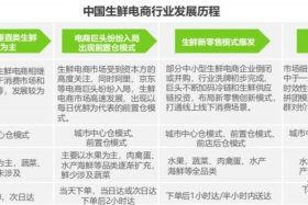 生鲜电商营销策略的研究方法；生鲜电商营销策略的研究方法和意义