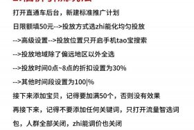 什么是电商直通车（什么叫电商直通车）