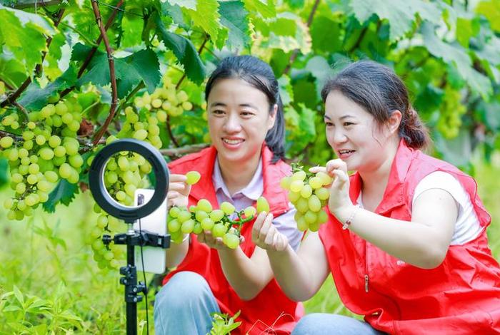 电商扶贫助农直播 电商直播扶贫助农增收