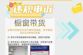 电商平台软件打不开；电商平台软件打不开什么原因