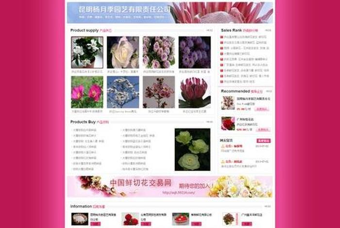 云南跨境b2b电商开发平台 云南跨境b2b电商开发平台官网 云南跨境b2b电商开发平台 云南跨境b2b电商开发平台官网