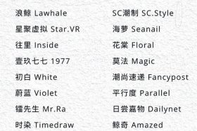 电商取名有什么要注意的 - 电商取名有什么要注意的事项