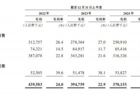 凯诘电子商务有限公司上市了吗（凯诘电子商务有限公司是干什么的）