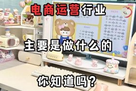 电商宝是做什么用的（电商宝是做什么用的啊）