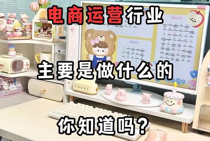 电商宝是做什么用的（电商宝是做什么用的啊）