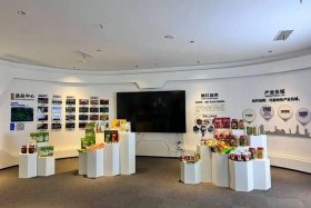 南昌电商直播 南昌电商直播基地