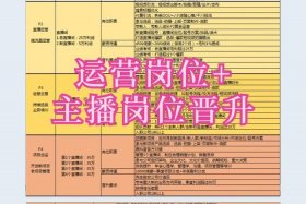 电商主播岗位职责和任职要求；电商主播岗位职责和任职要求怎么写