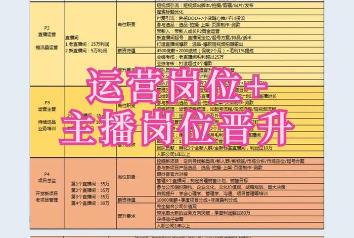 电商主播岗位职责和任职要求；电商主播岗位职责和任职要求怎么写