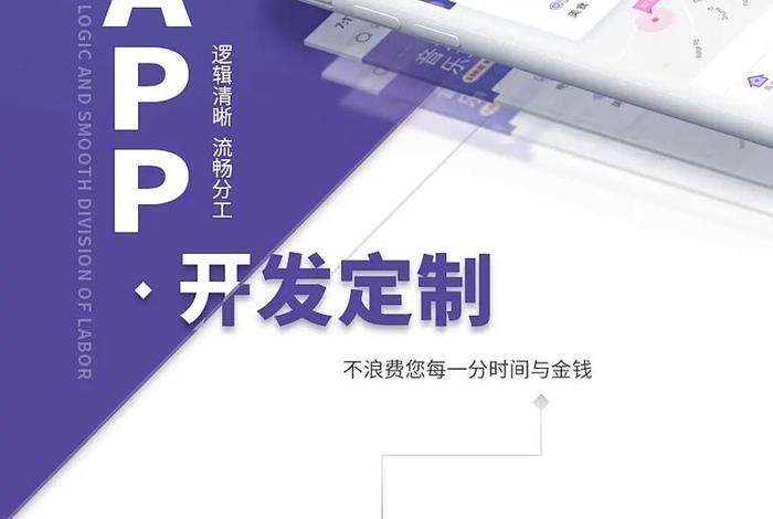 电商类app开发定制产品（电商类app开发定制产品怎么做）