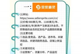 跨境电商选品分析工具 跨境电商选品工具推荐