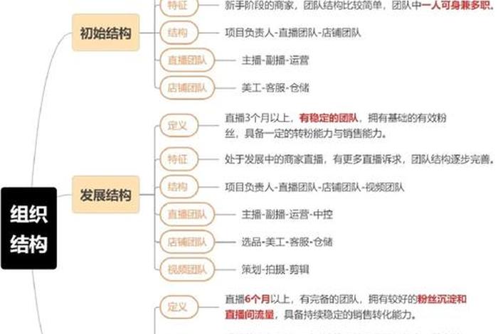 电商运营团队 - 电商运营团队介绍