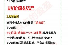 电商UV的含义，电商UV的含义怎么计算