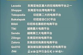 东南亚当地电商平台；东南亚当地电商平台有哪些