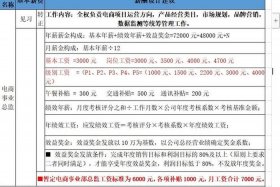 电商运营团队薪酬设计（电商运营团队薪酬设计模板）
